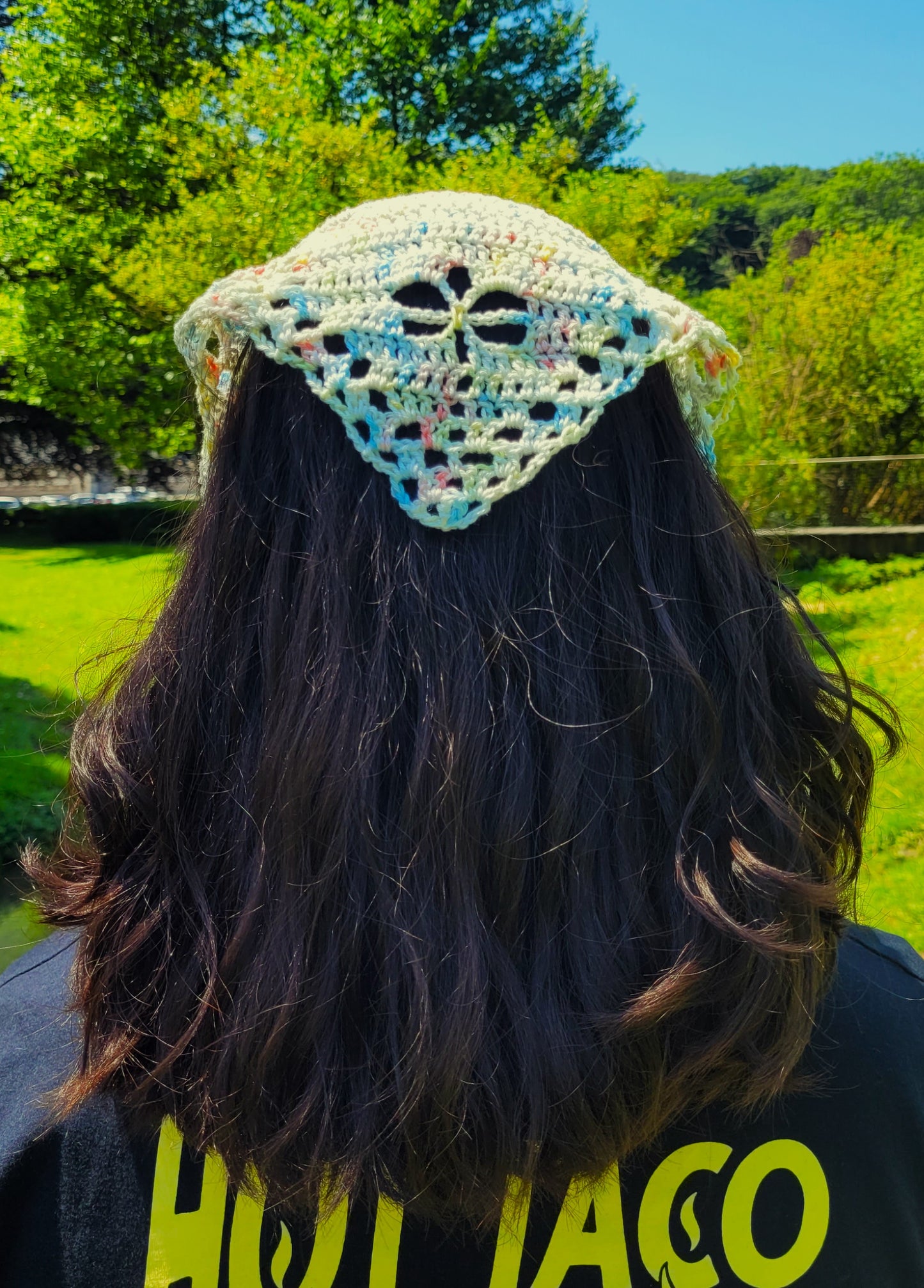 Bandana dragonfly