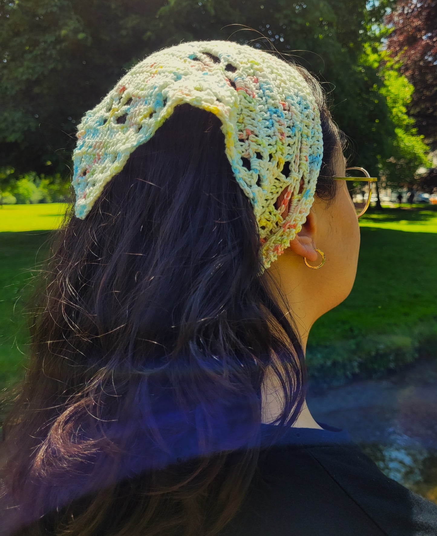 Bandana dragonfly